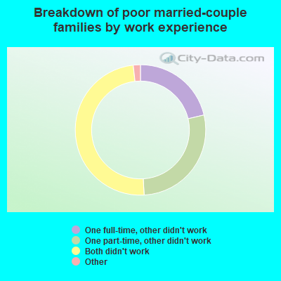 Breakdown of poor married-couple families by work experience