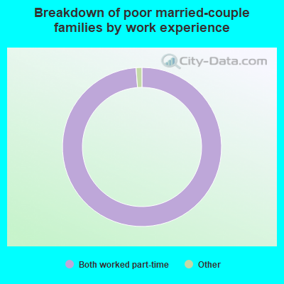 Breakdown of poor married-couple families by work experience