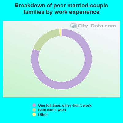 Breakdown of poor married-couple families by work experience