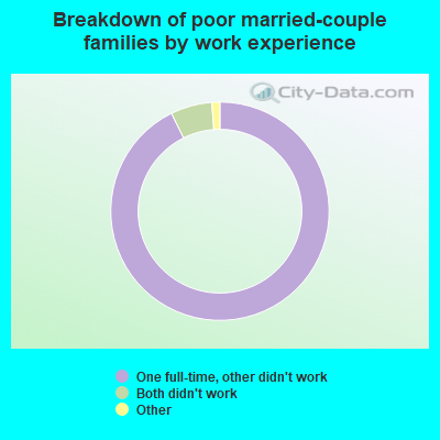 Breakdown of poor married-couple families by work experience