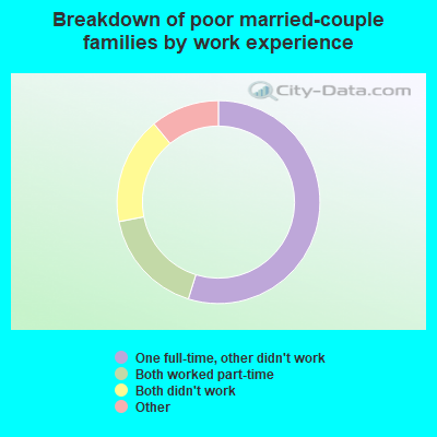 Breakdown of poor married-couple families by work experience