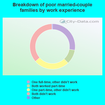 Breakdown of poor married-couple families by work experience