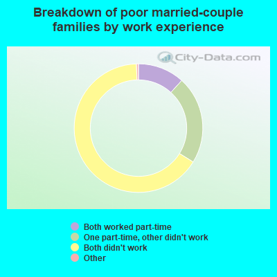 Breakdown of poor married-couple families by work experience