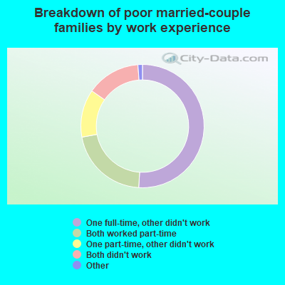 Breakdown of poor married-couple families by work experience