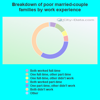 Breakdown of poor married-couple families by work experience