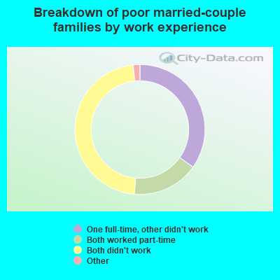 Breakdown of poor married-couple families by work experience