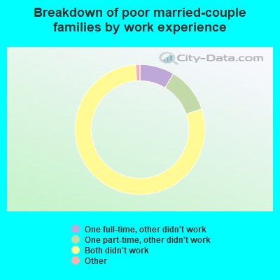 Breakdown of poor married-couple families by work experience