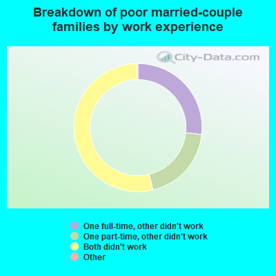 Breakdown of poor married-couple families by work experience