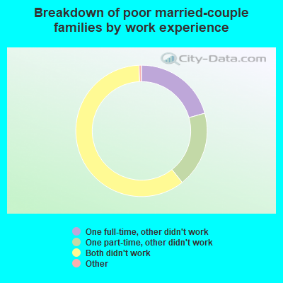 Breakdown of poor married-couple families by work experience