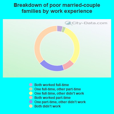 Breakdown of poor married-couple families by work experience