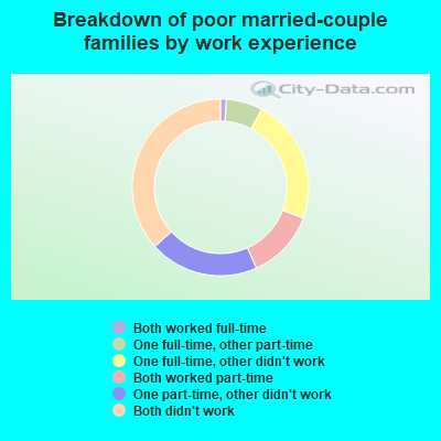 McCartys Village, New Mexico (NM) poverty rate data information about