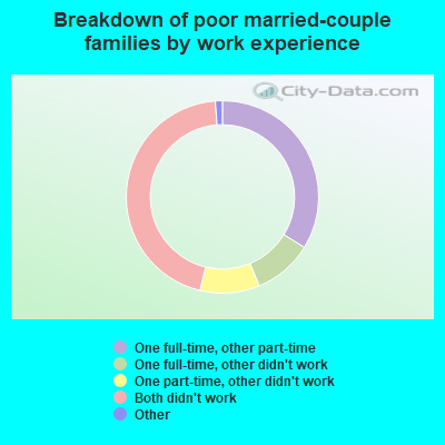 Breakdown of poor married-couple families by work experience