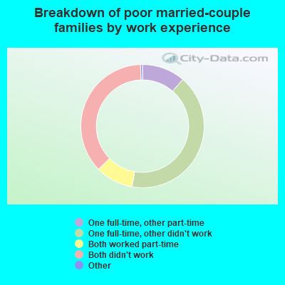 Breakdown of poor married-couple families by work experience