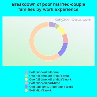 Breakdown of poor married-couple families by work experience