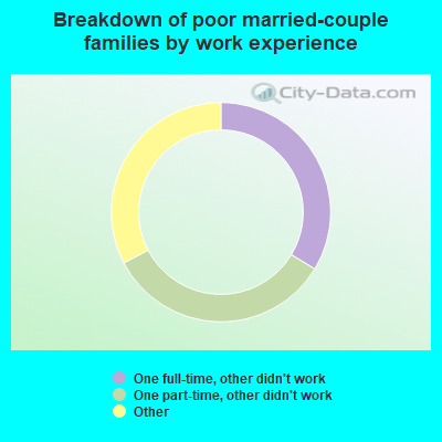 Breakdown of poor married-couple families by work experience