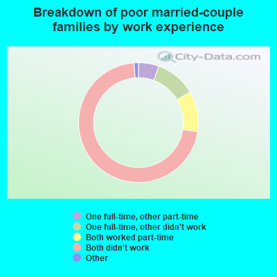 Breakdown of poor married-couple families by work experience