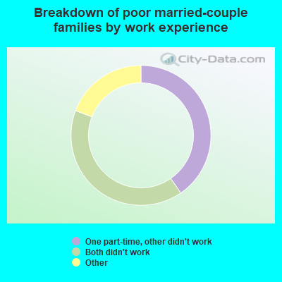 Breakdown of poor married-couple families by work experience