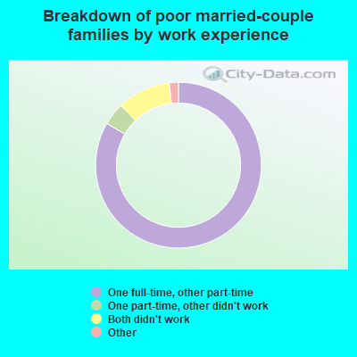 Breakdown of poor married-couple families by work experience