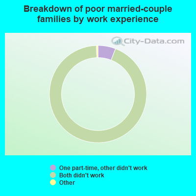 Breakdown of poor married-couple families by work experience