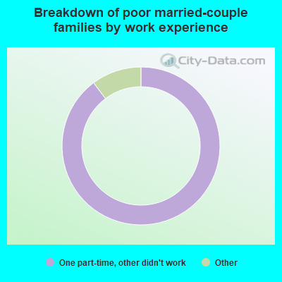 Breakdown of poor married-couple families by work experience