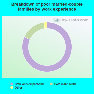 Breakdown of poor married-couple families by work experience