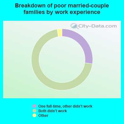 Breakdown of poor married-couple families by work experience