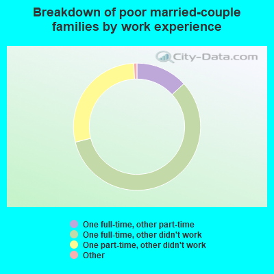 Breakdown of poor married-couple families by work experience