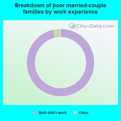 Breakdown of poor married-couple families by work experience