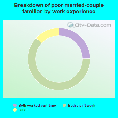 Breakdown of poor married-couple families by work experience