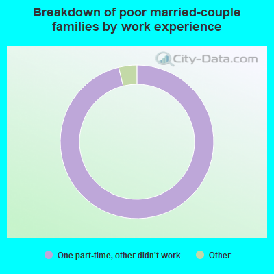 Breakdown of poor married-couple families by work experience