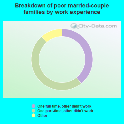 Breakdown of poor married-couple families by work experience