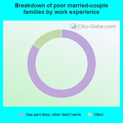 Breakdown of poor married-couple families by work experience