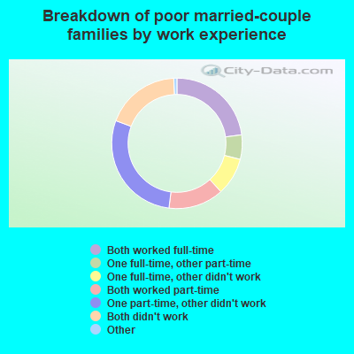 Breakdown of poor married-couple families by work experience