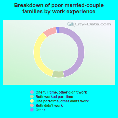 Breakdown of poor married-couple families by work experience