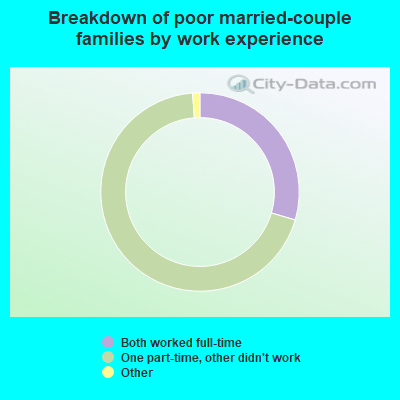 Breakdown of poor married-couple families by work experience