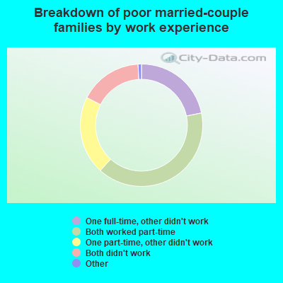 Breakdown of poor married-couple families by work experience