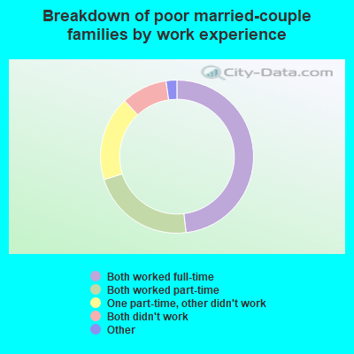 Breakdown of poor married-couple families by work experience