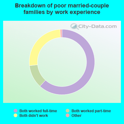 Breakdown of poor married-couple families by work experience