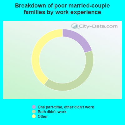 Breakdown of poor married-couple families by work experience