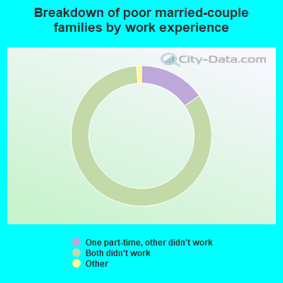 Breakdown of poor married-couple families by work experience