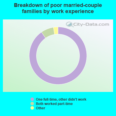 Breakdown of poor married-couple families by work experience