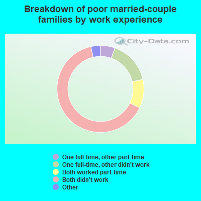 Breakdown of poor married-couple families by work experience