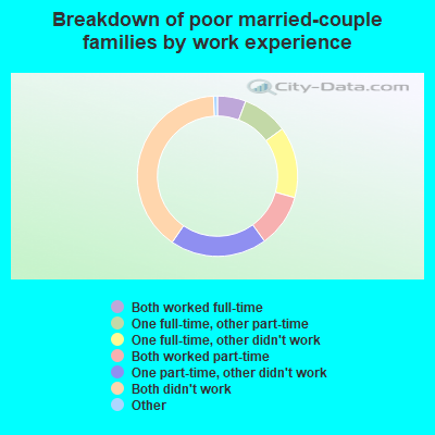 Breakdown of poor married-couple families by work experience