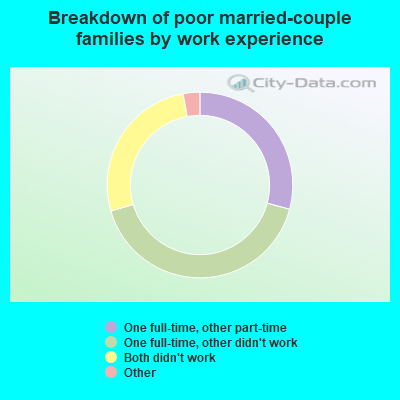 Breakdown of poor married-couple families by work experience