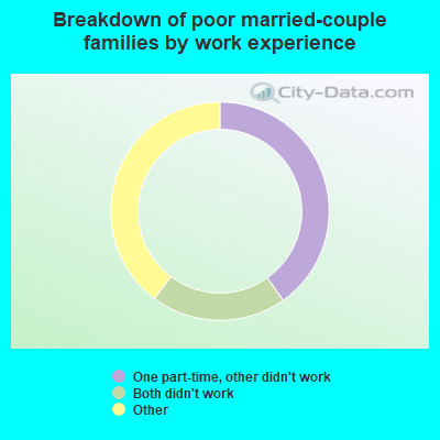 Breakdown of poor married-couple families by work experience