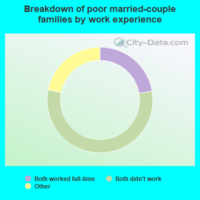 Breakdown of poor married-couple families by work experience