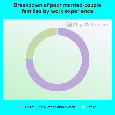 Breakdown of poor married-couple families by work experience