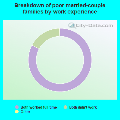 Breakdown of poor married-couple families by work experience