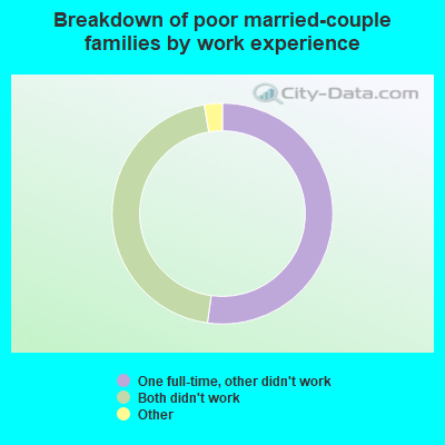 Breakdown of poor married-couple families by work experience