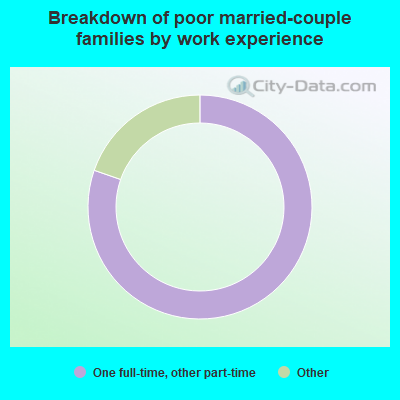 Breakdown of poor married-couple families by work experience